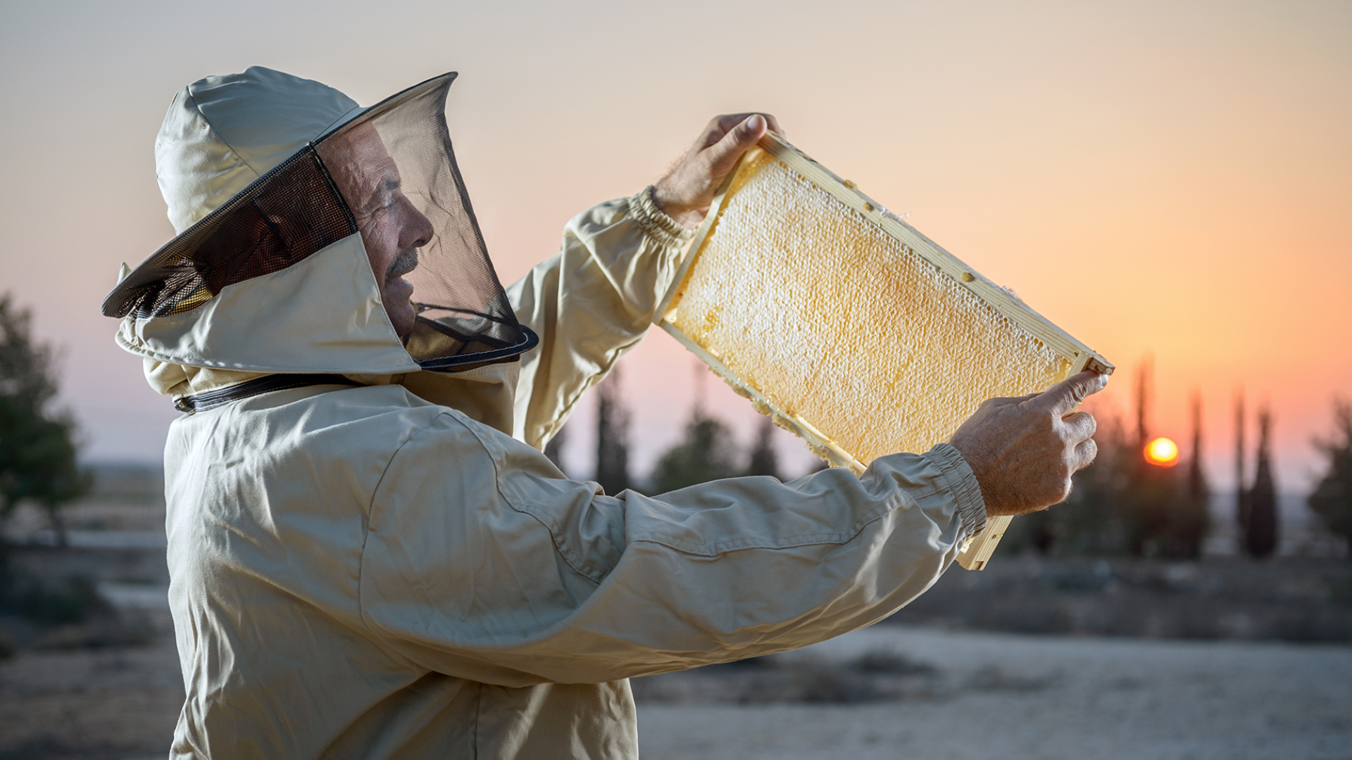 1080 branding photography photography gallery arkadi2